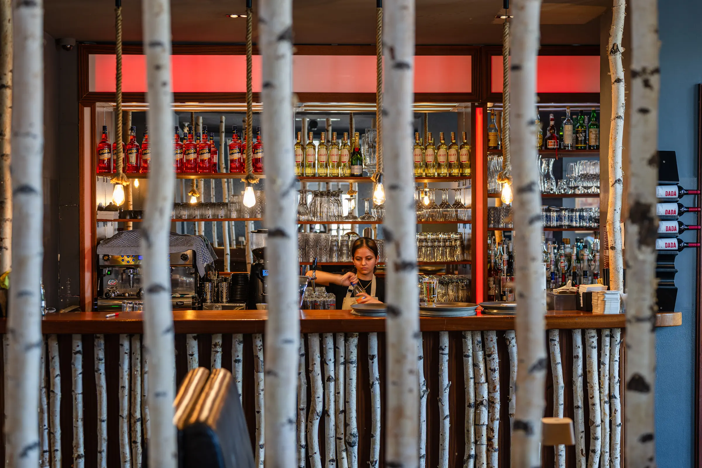 Die Bar des Mr. Grande — Birkenstämme, Flaschenregal und warmes Licht